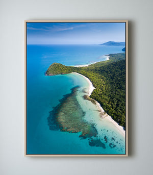 The Mighty Daintree - Cape Tribulation - Dave Wilcock Photography