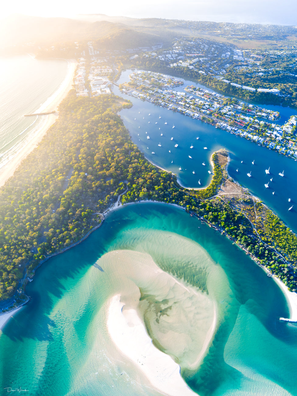 Heart of Noosa - Dave Wilcock Photography