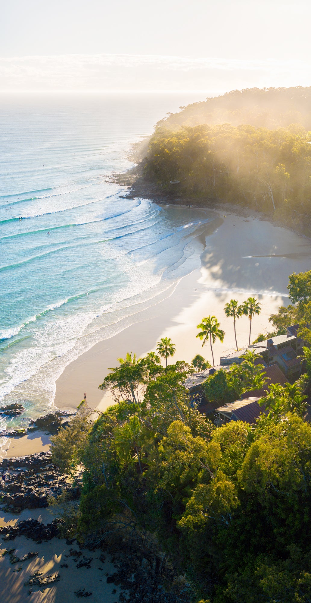 Paradisus- Little Cove Noosa - Dave Wilcock Photography