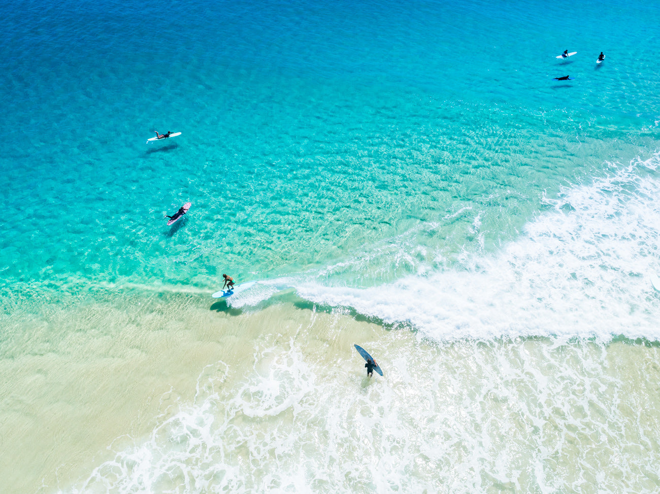 Aqua Glide - Tea Tree Bay Noosa - Dave Wilcock Photography