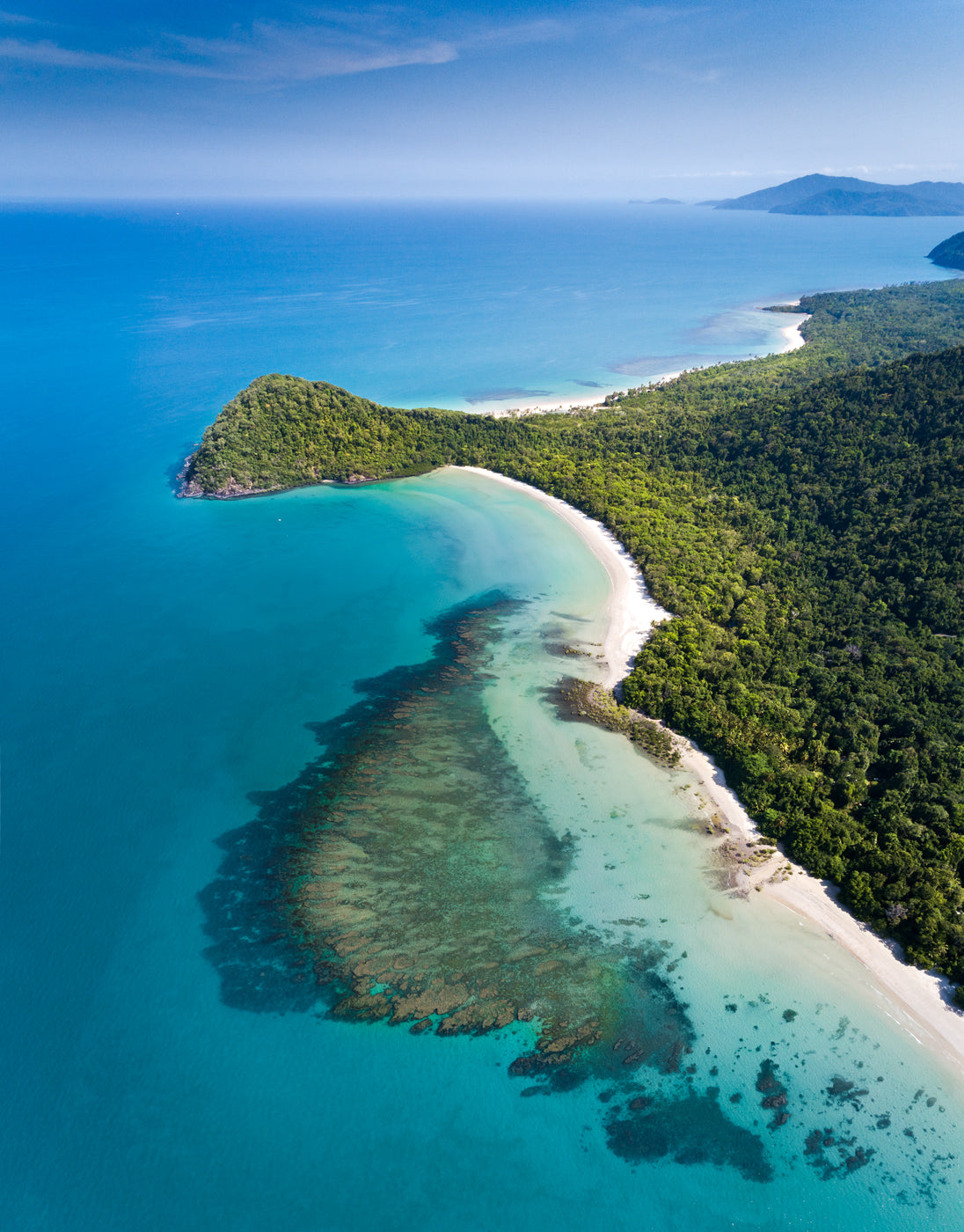 The Mighty Daintree - Cape Tribulation - Dave Wilcock Photography