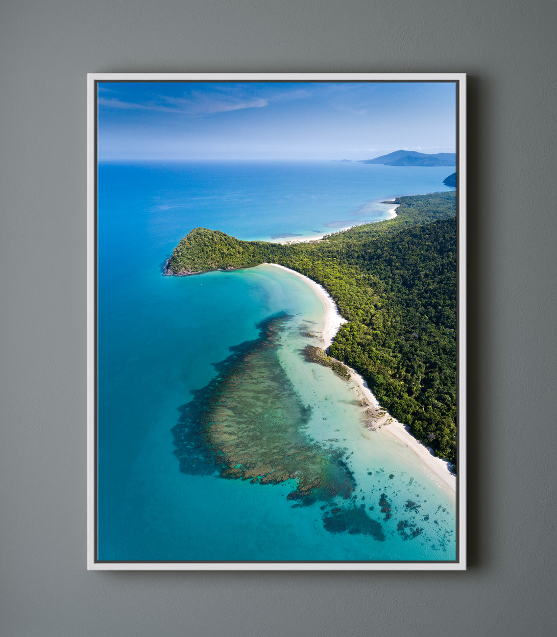 The Mighty Daintree - Cape Tribulation - Dave Wilcock Photography
