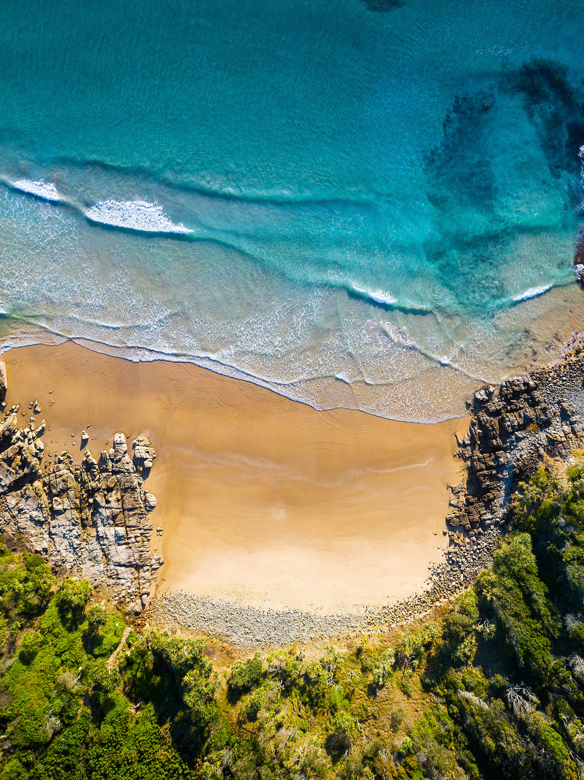 Spring Has Sprung Coolum Bay - Dave Wilcock Photography