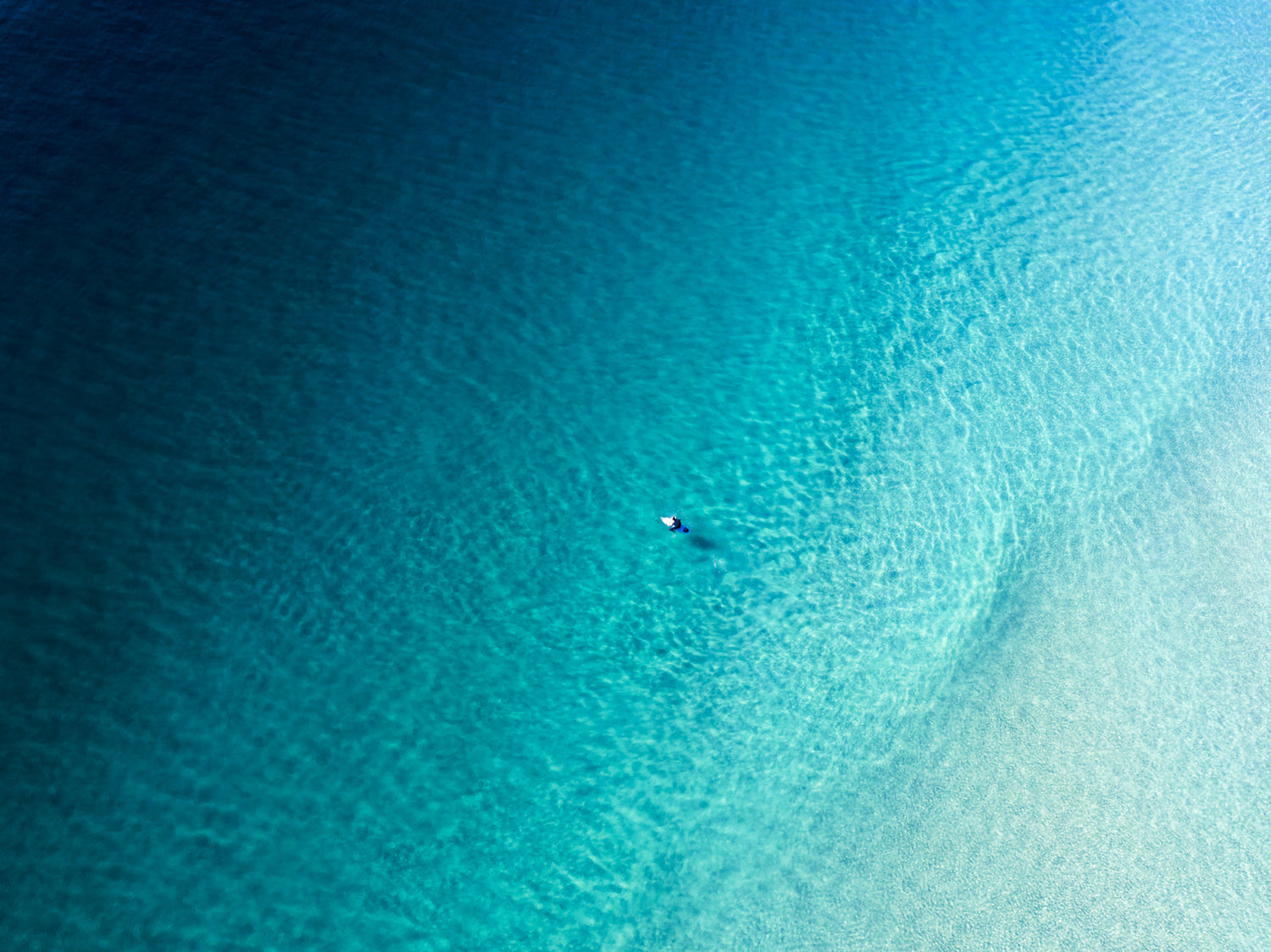 "Big Blue" Coolum Beach - Dave Wilcock Photography