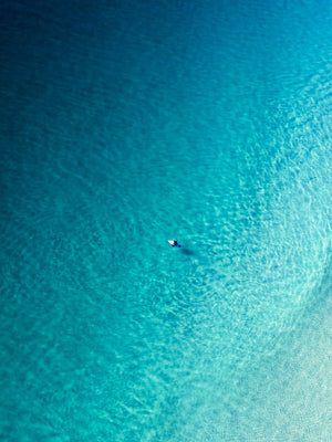 "Big Blue" Coolum Beach - Dave Wilcock Photography