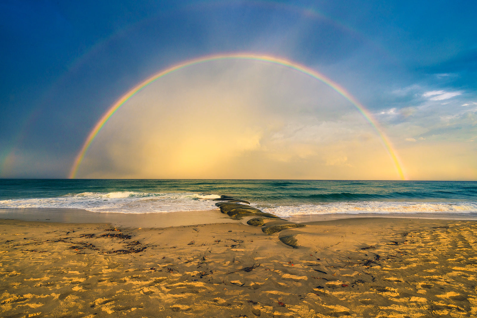 Cotton Tree Rainbow - Dave Wilcock Photography