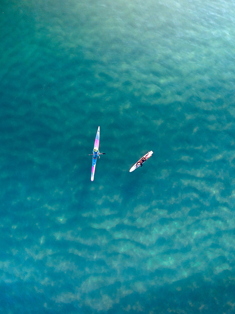 Morning meetups - Mooloolaba - Dave Wilcock Photography