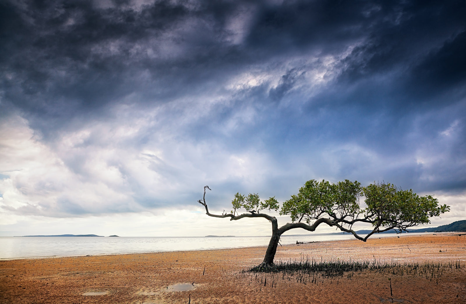 Resilience - Dave Wilcock Photography