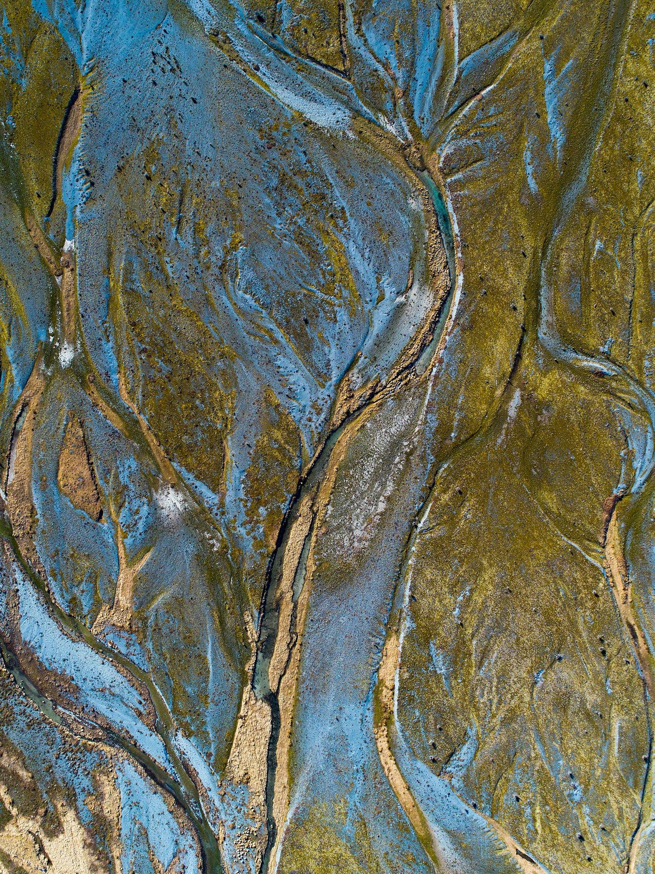 Gold Leaf - Mount Cook National Park - Dave Wilcock Photography