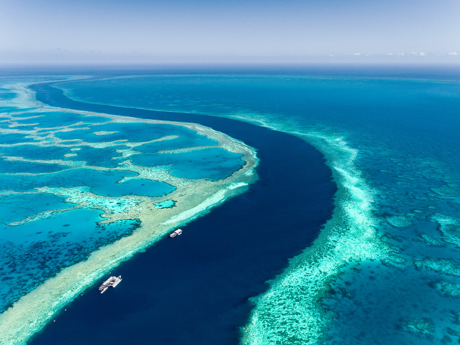 "Hardy Reef"- Great Barrier Reef Whitsundays - Dave Wilcock Photography