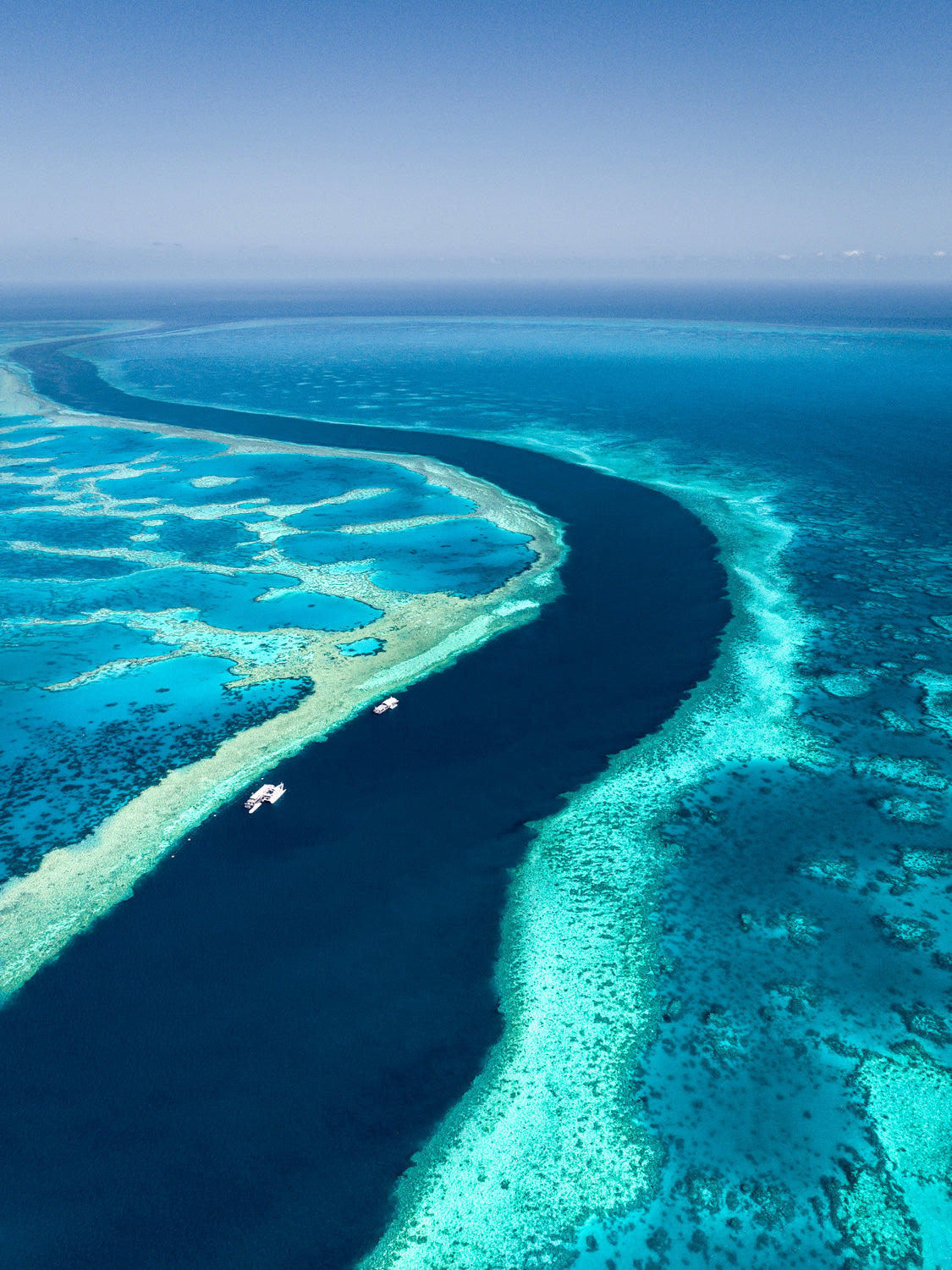 "Hardy Reef"- Great Barrier Reef Whitsundays - Dave Wilcock Photography