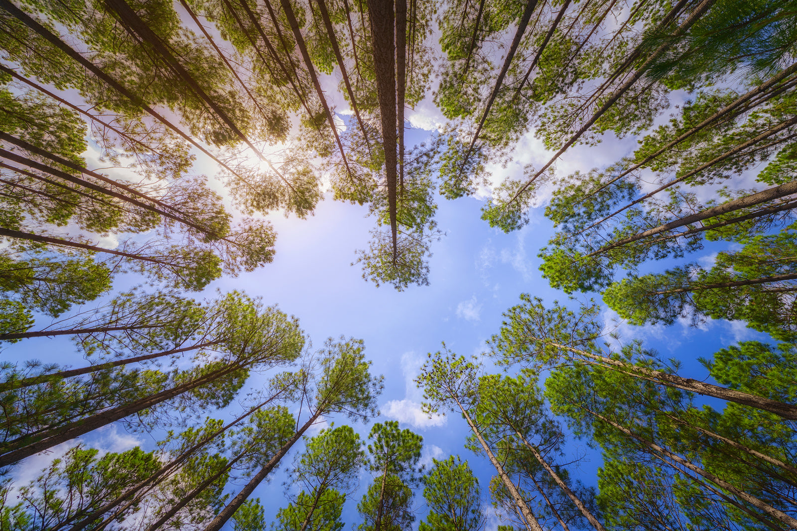 Love From Above - Dave Wilcock Photography