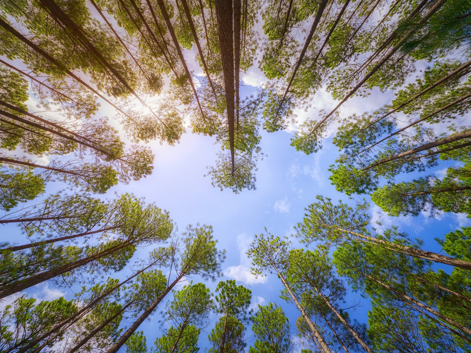 Ex Gallery Stock- "Love From Above" 30x40 Inch Aluminium 50% OFF - Dave Wilcock Photography