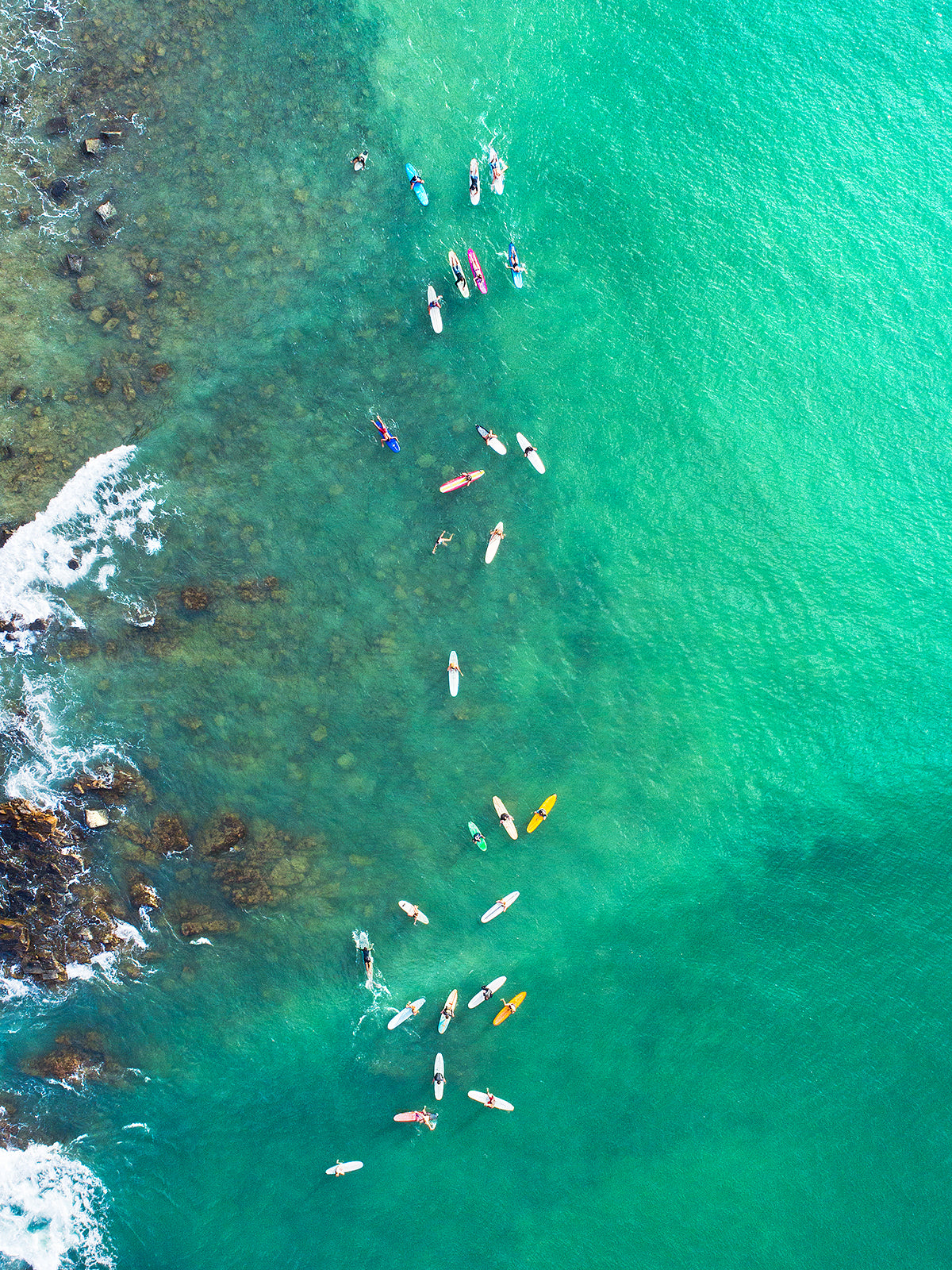 Long Board Line Up - Dave Wilcock Photography