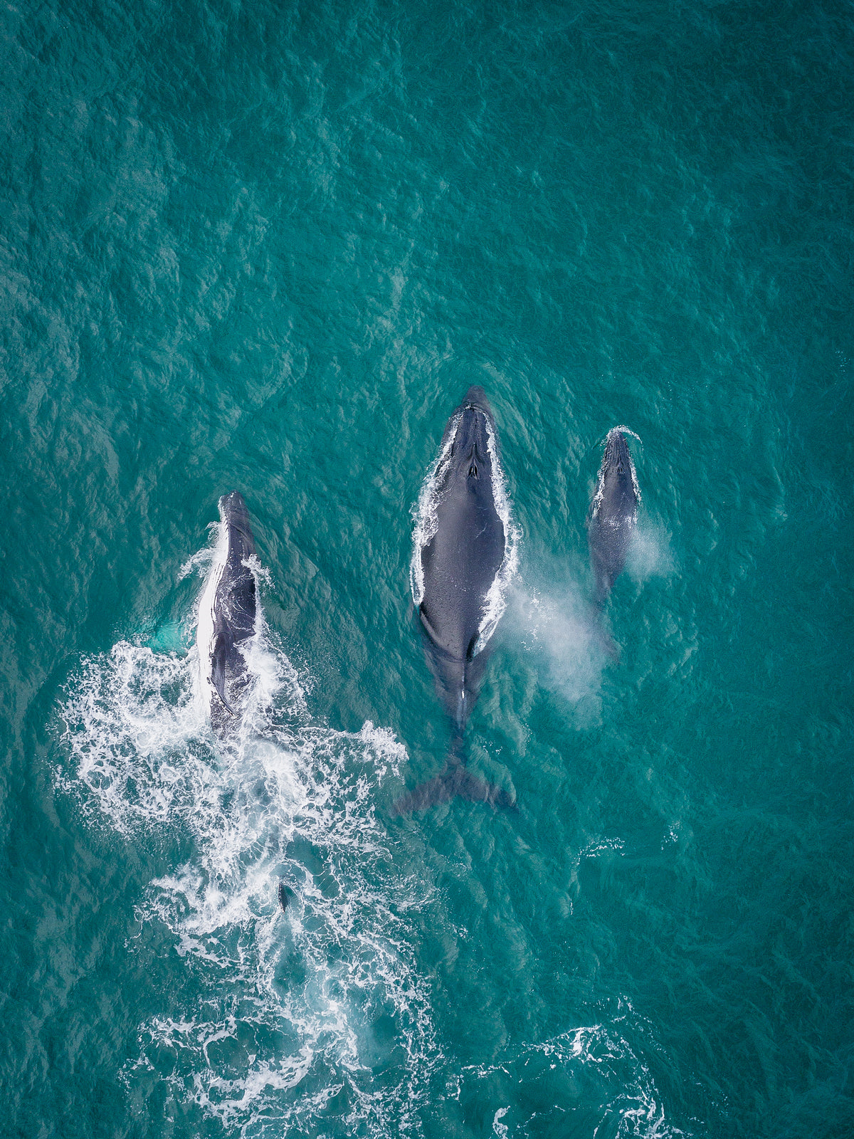 Coming Home - Dave Wilcock Photography
