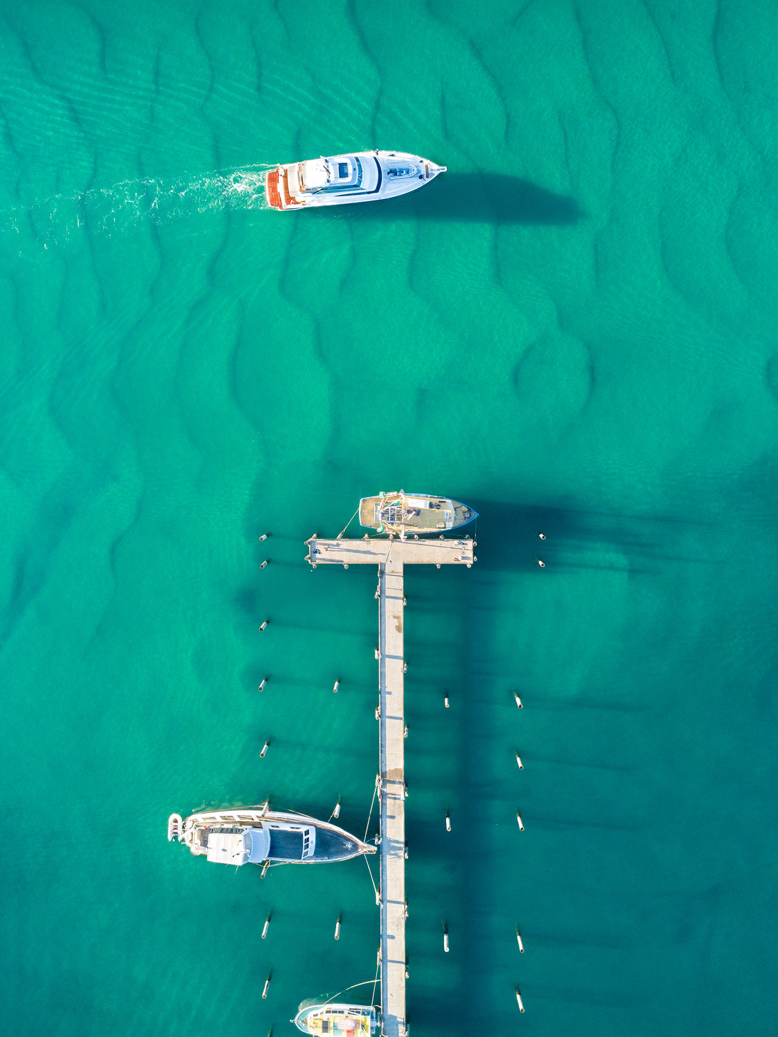 "Sunday Cruise" Mooloolaba Marina - Dave Wilcock Photography