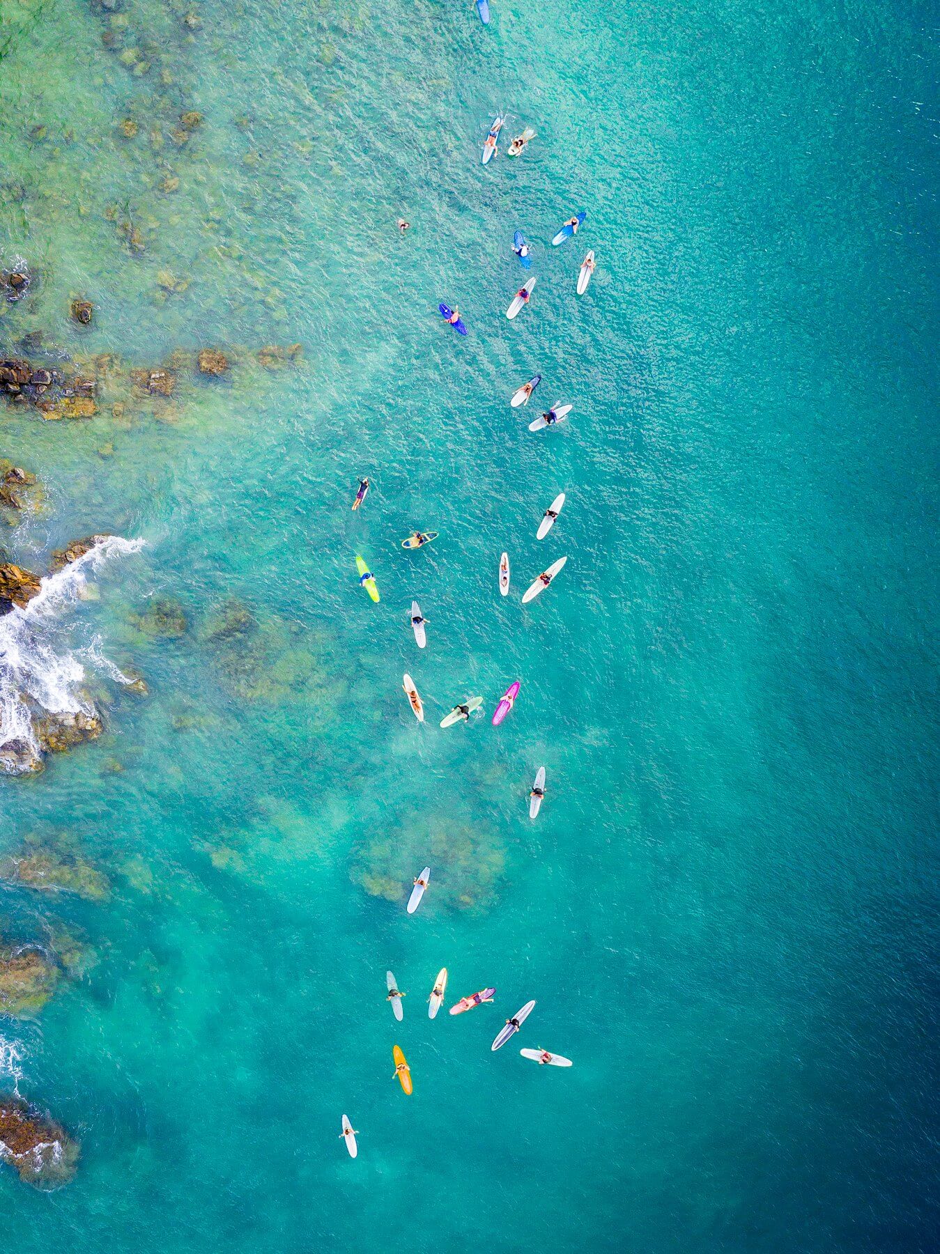 'Board Meeting' Noosa First Point - Dave Wilcock Photography