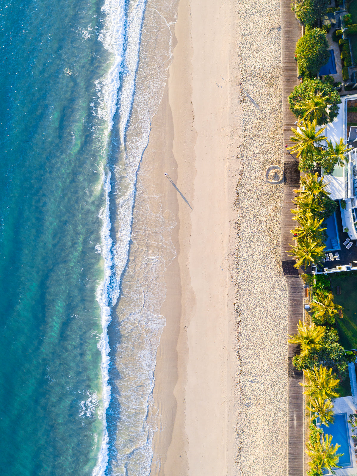Noosa Main Beach Palms - Dave Wilcock Photography