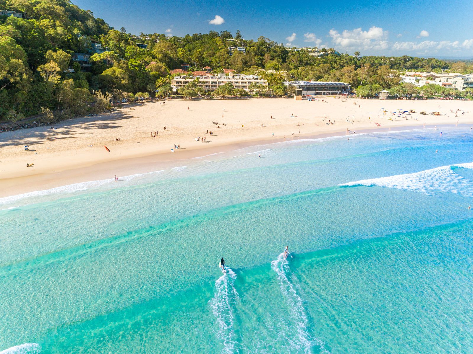 "Ride Together"- Noosa Main Beach - Dave Wilcock Photography