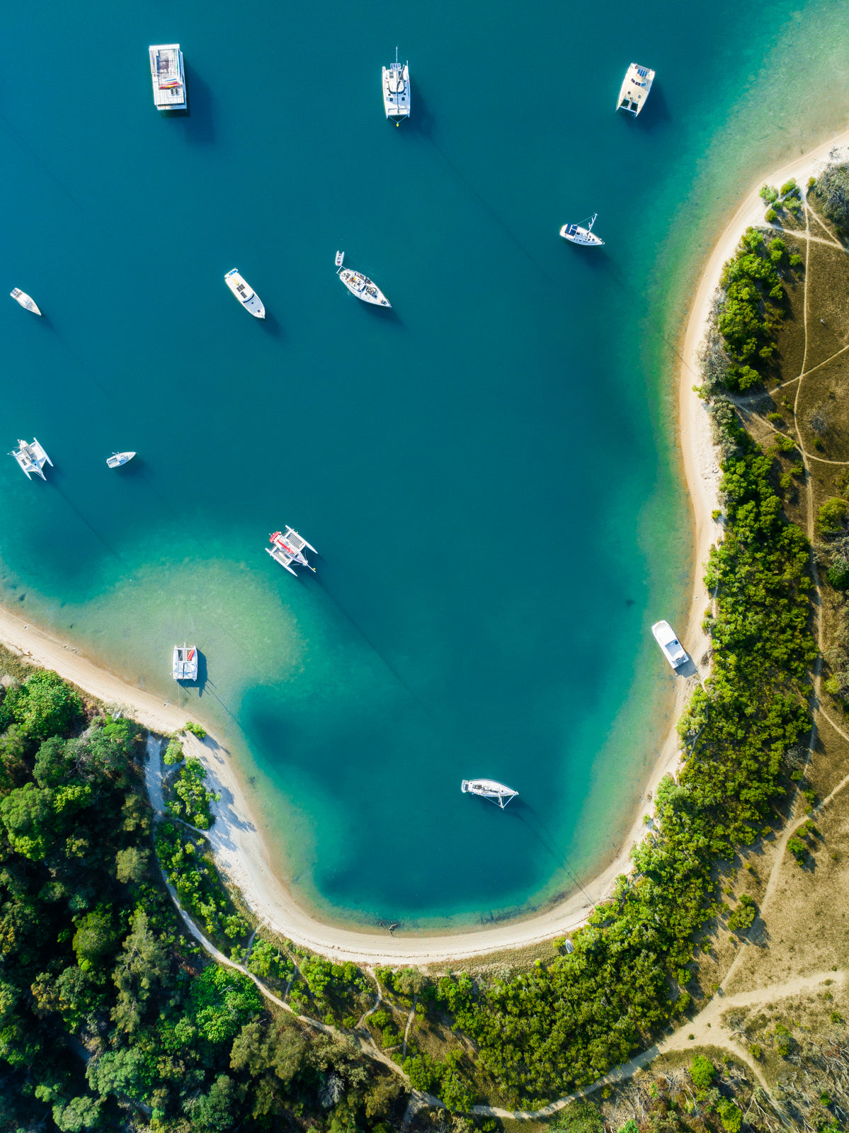Boat Cove - Dave Wilcock Photography