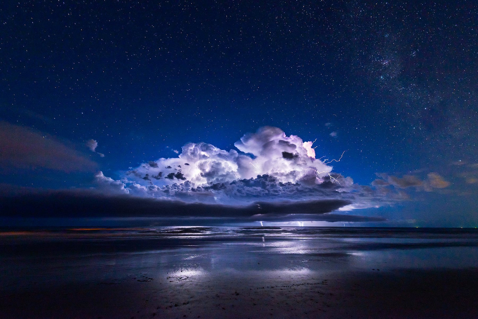 Unleash - Dave Wilcock Photography