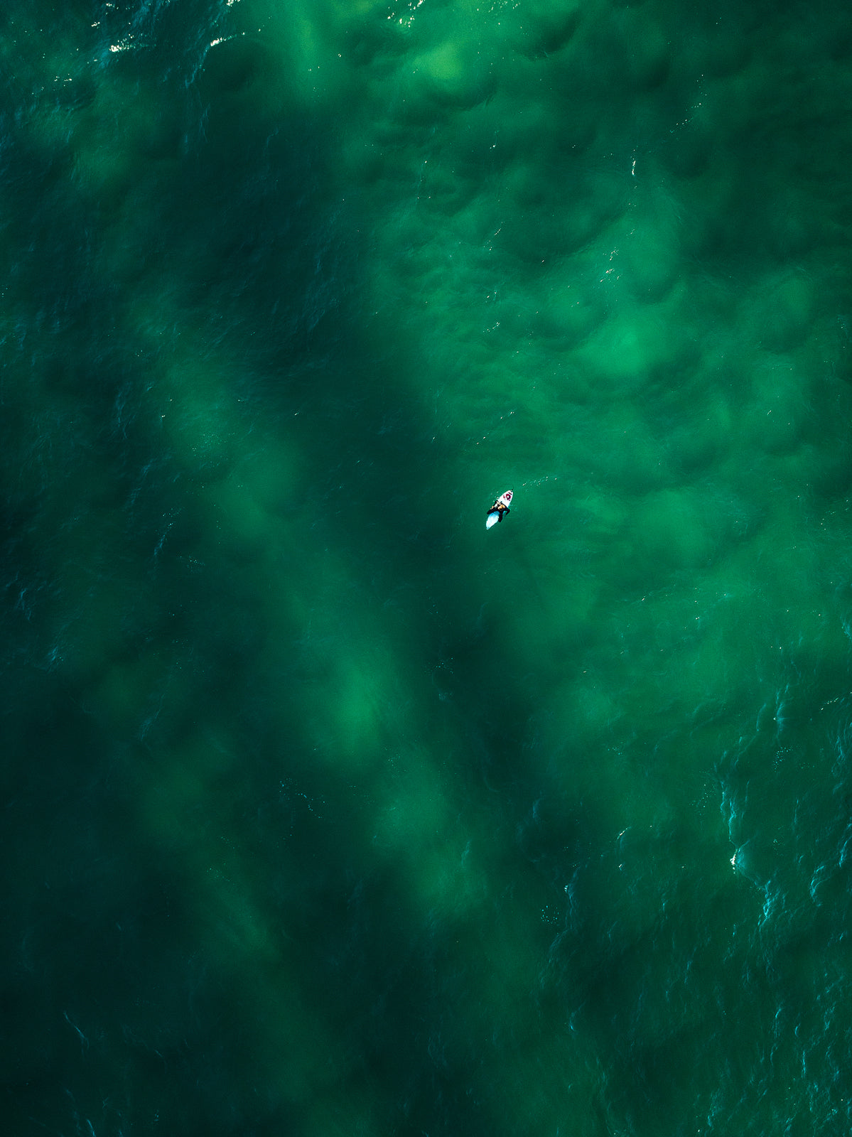 Point Cartwright Solitude - Dave Wilcock Photography