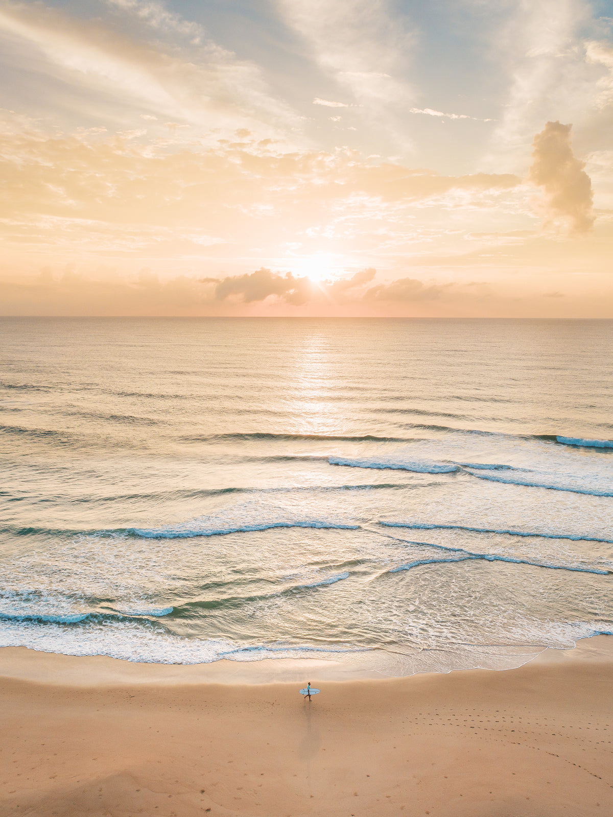 Golden Morning- Portrait - Dave Wilcock Photography
