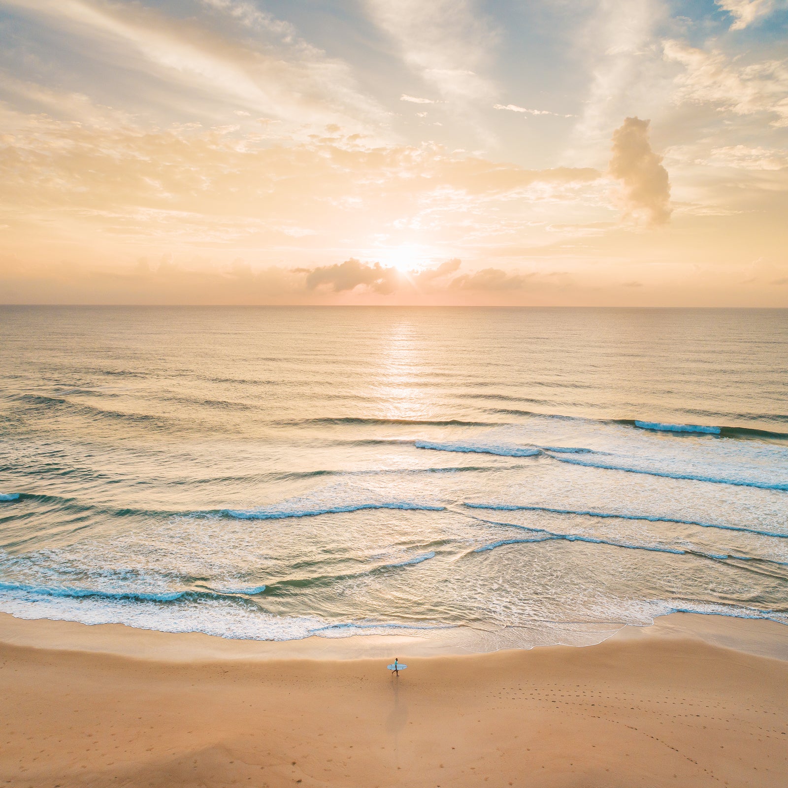 Golden Morning - Dave Wilcock Photography