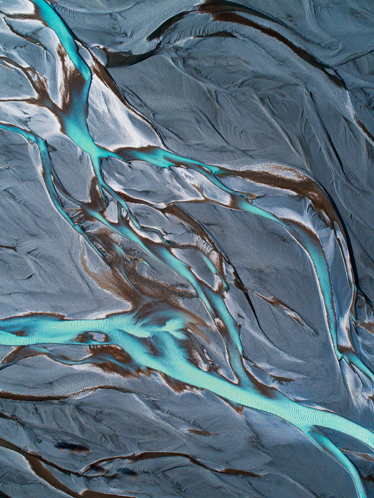 Electric Blue - Dave Wilcock Photography