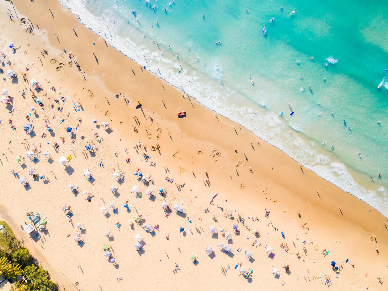 Summer Lovin' - Noosa Main Beach - Dave Wilcock Photography