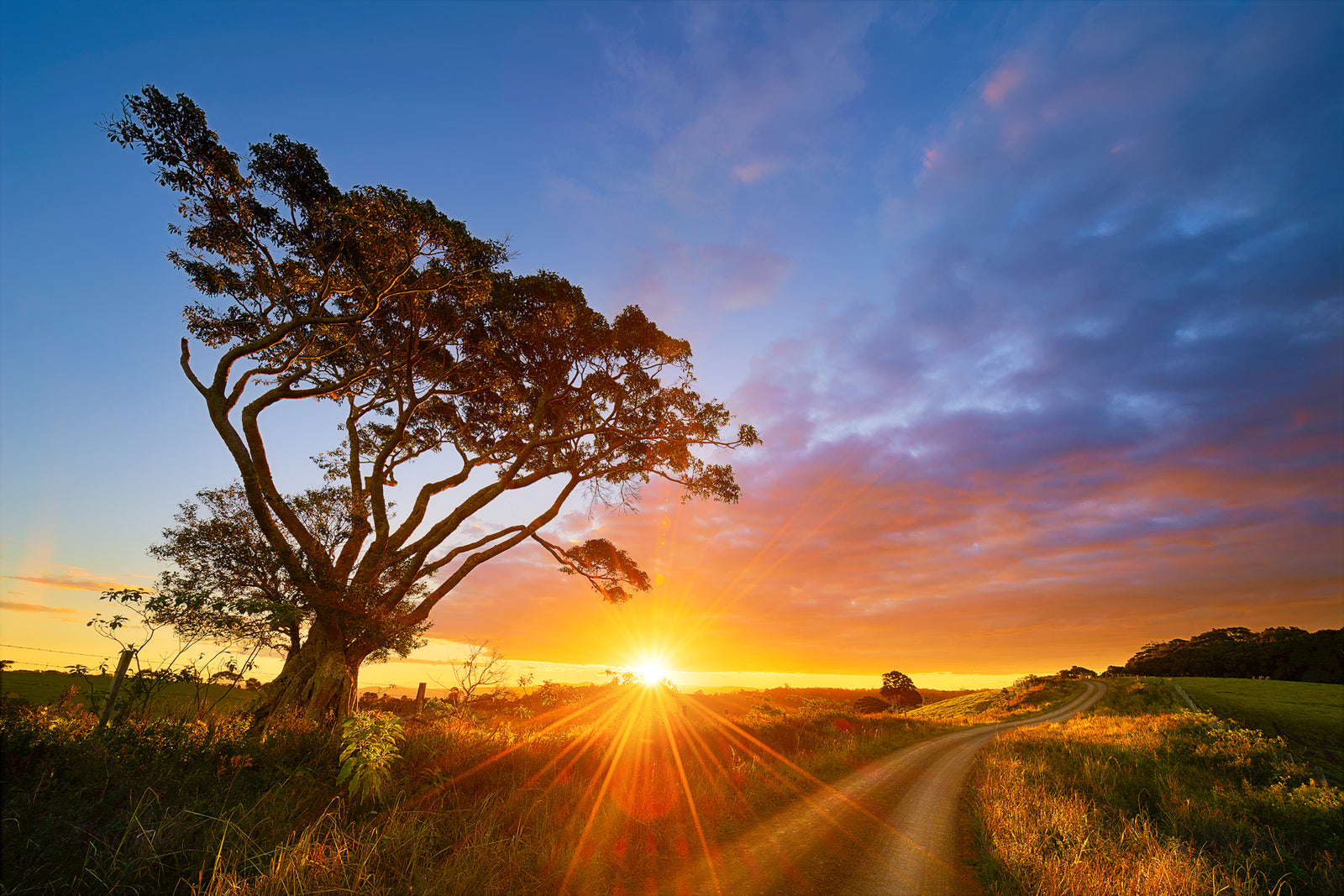 Sunburst Lane - Dave Wilcock Photography