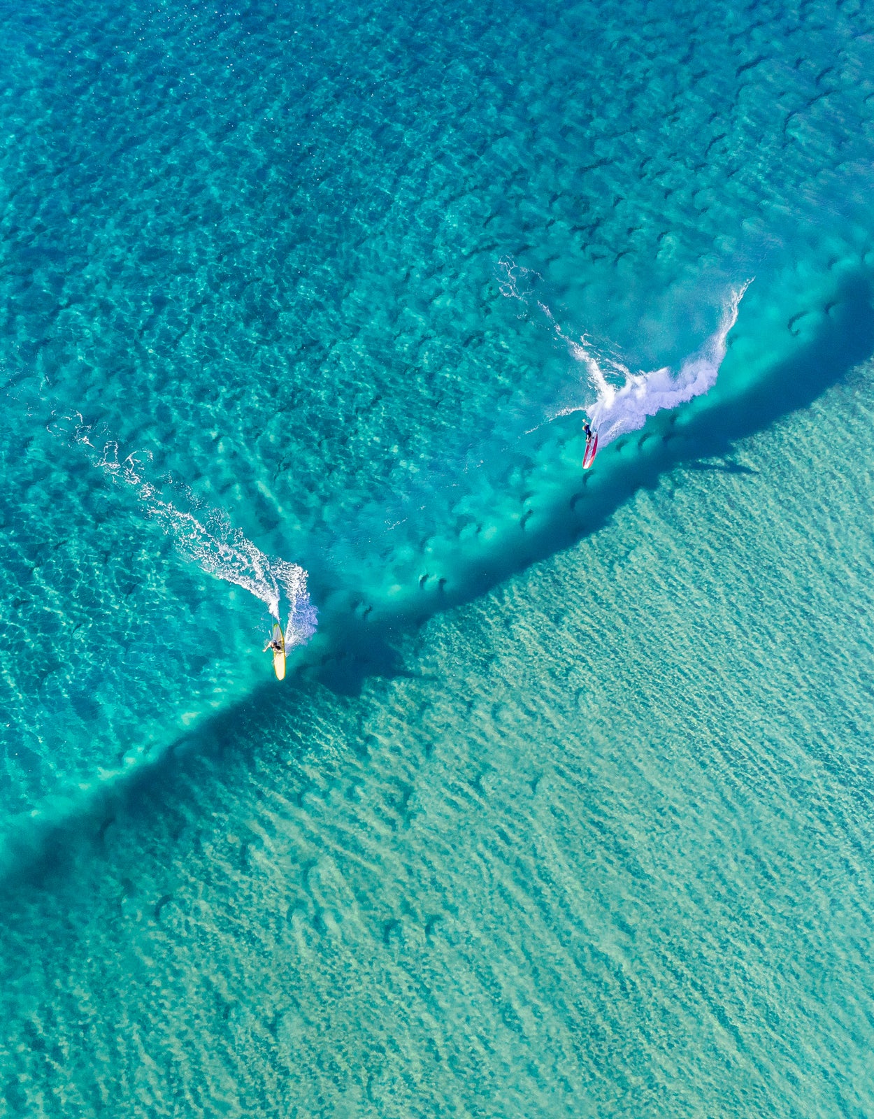 Sunshine beach Surfer Blues - Dave Wilcock Photography