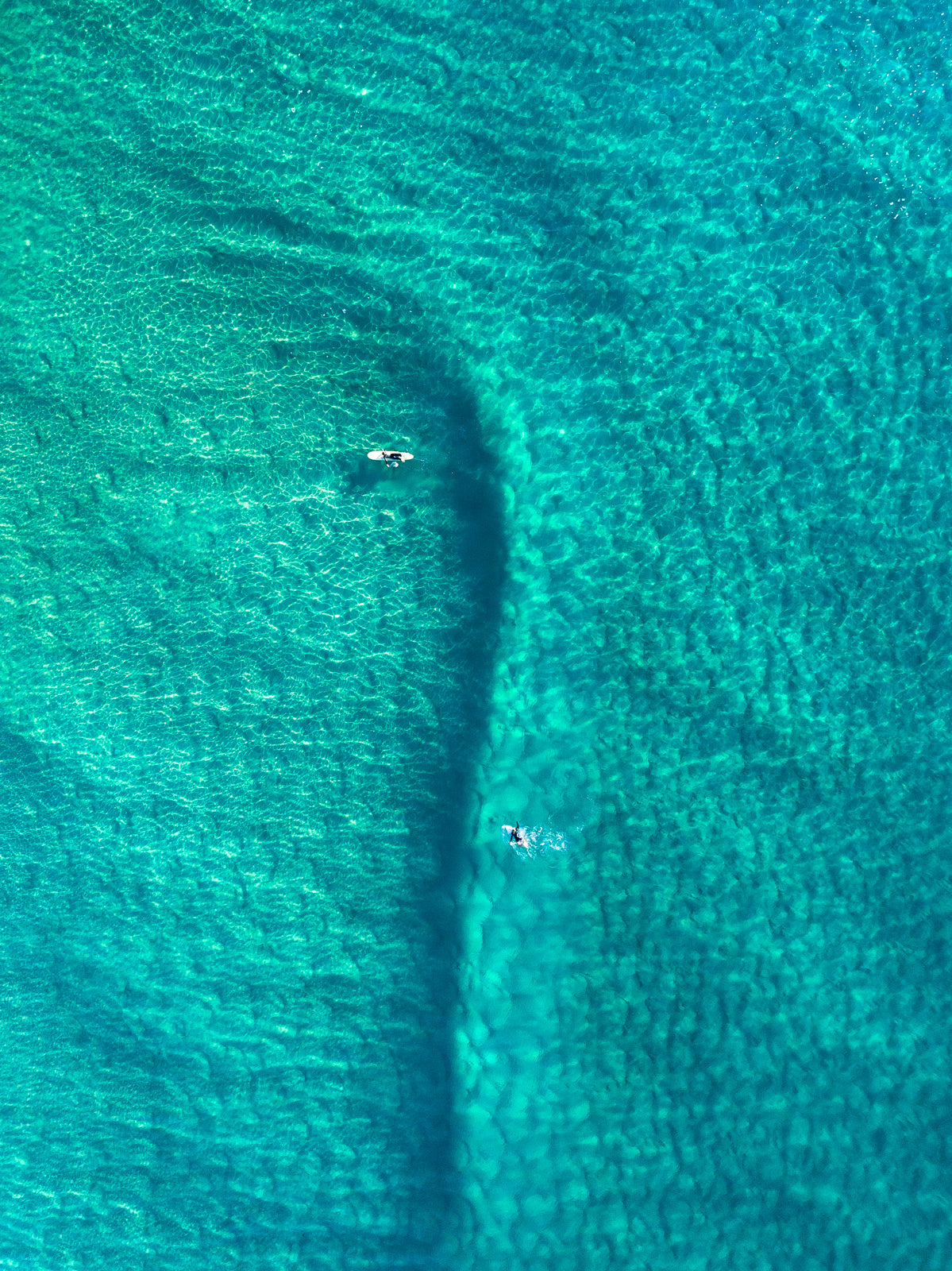 Sunshine Beach Clarity - Dave Wilcock Photography