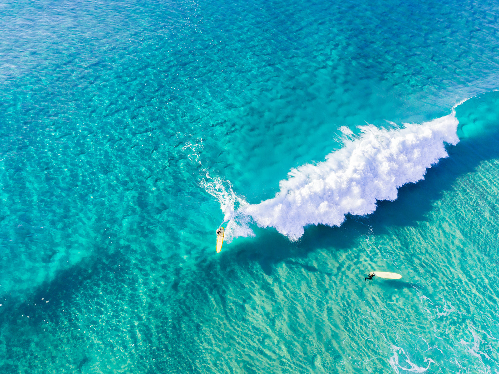 "Yellow Boards" - Sunshine Beach - Dave Wilcock Photography