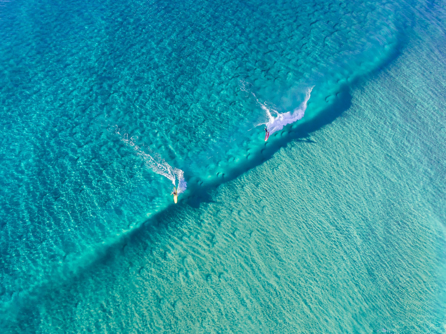 Sunshine Beach Surfer Blues - Dave Wilcock Photography