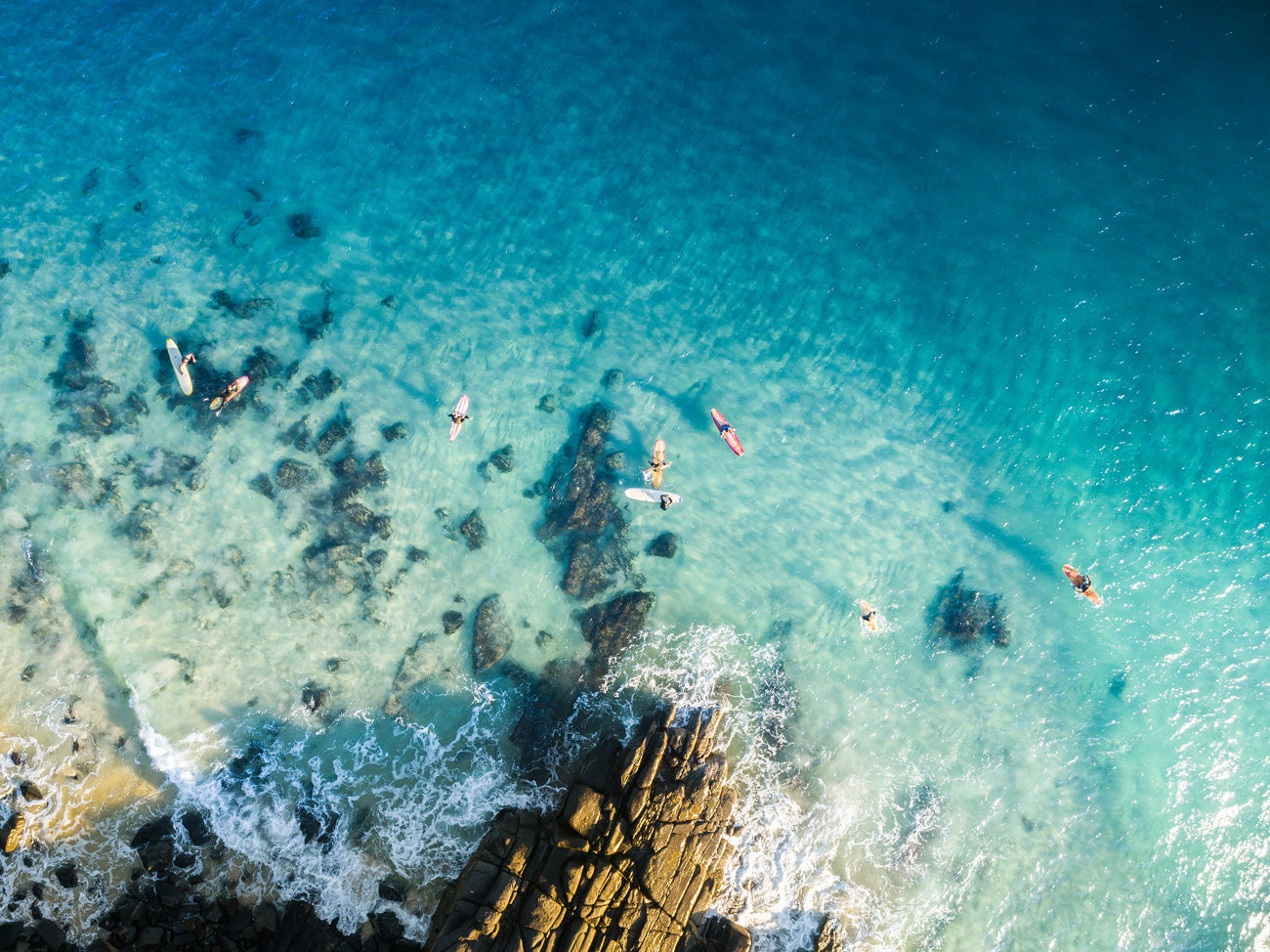 Splendour- Tea Tree Bay - Dave Wilcock Photography