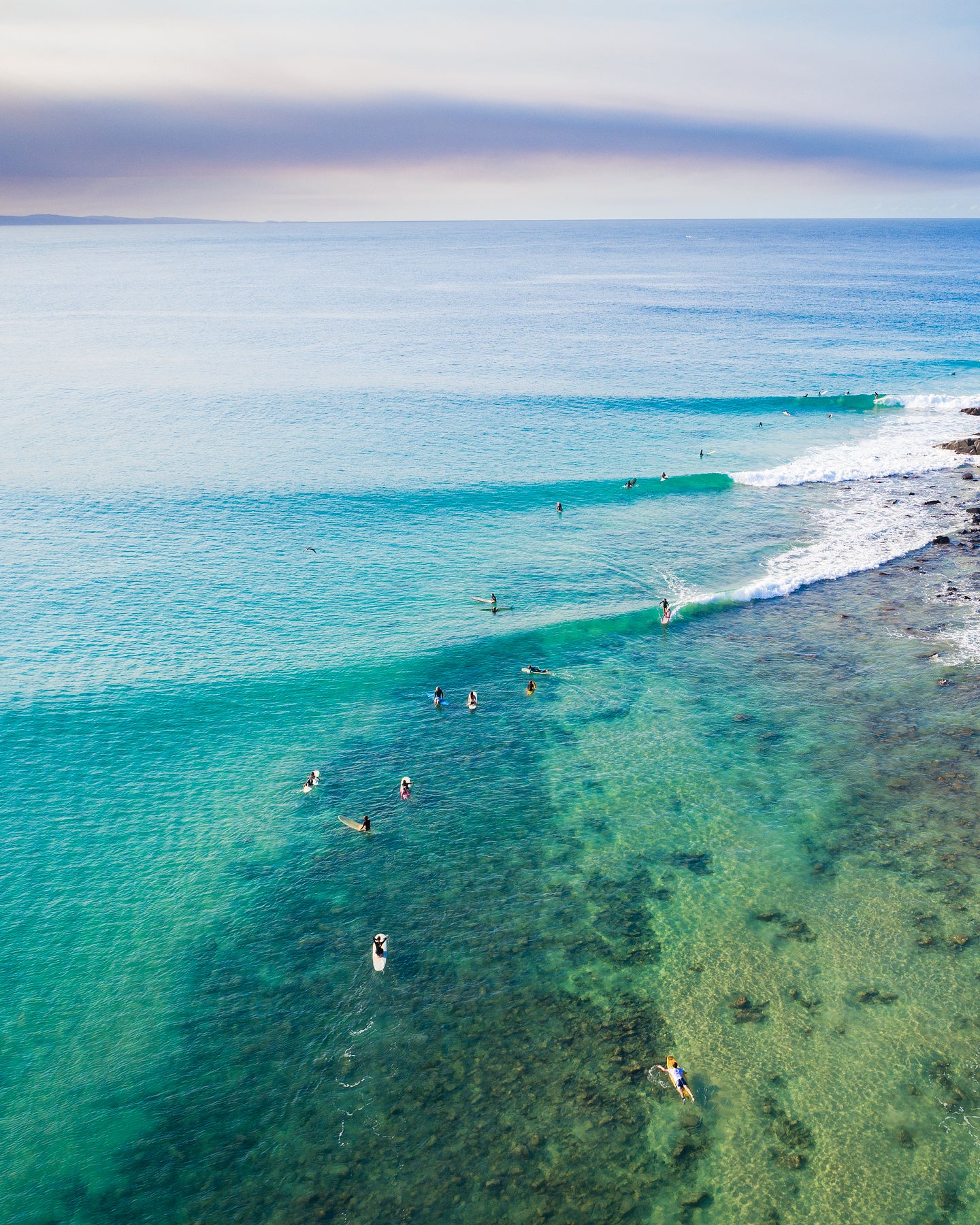 Tea Tree Sets - Dave Wilcock Photography