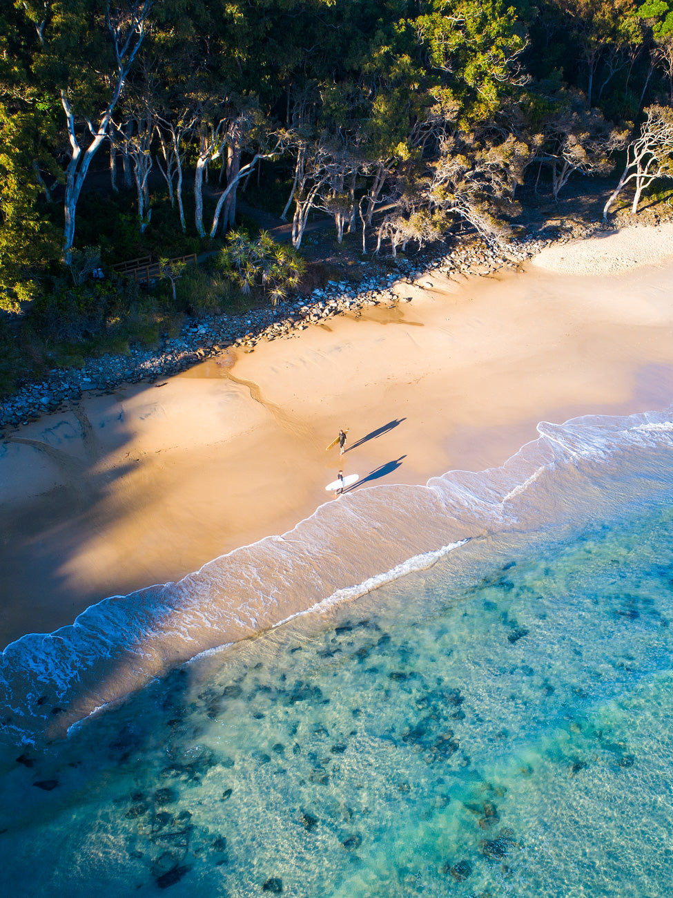 "Tea Tree Mornings"- Tea Tree Bay - Dave Wilcock Photography