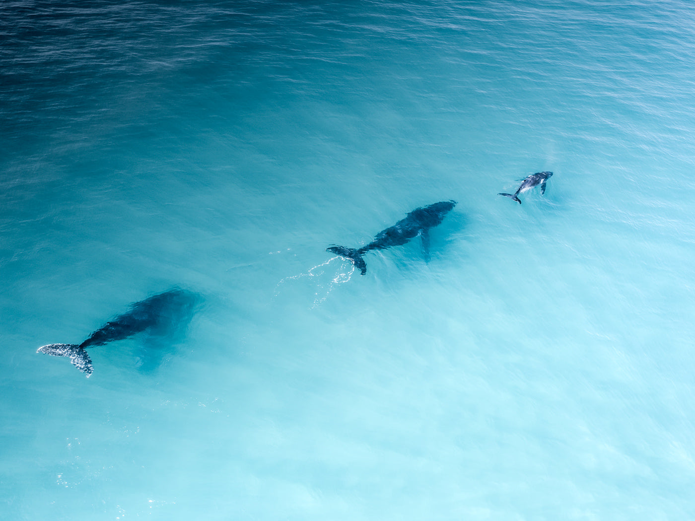Trinity -Alexandria Bay Noosa - Dave Wilcock Photography