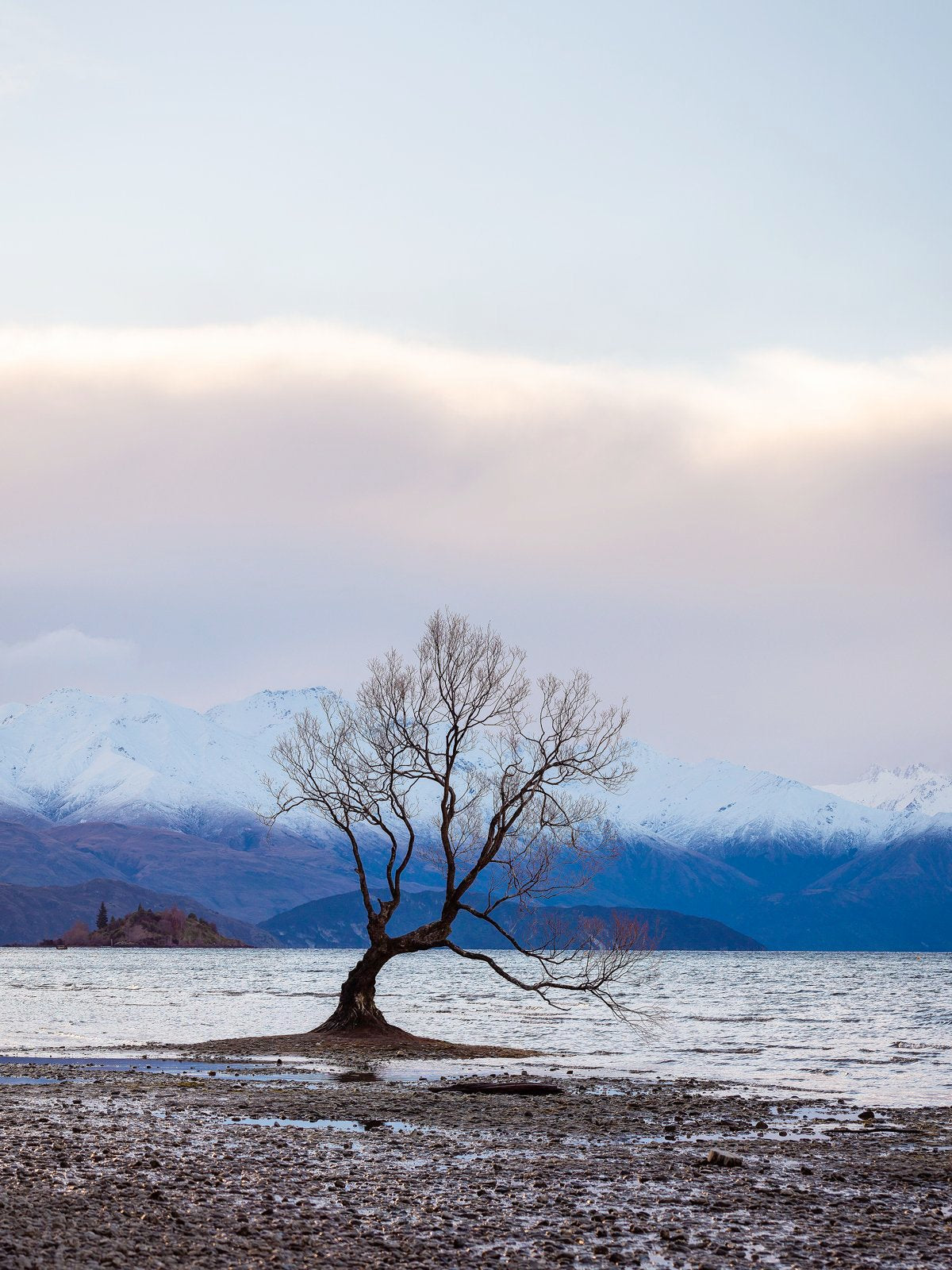 That Wanaka Tree - Dave Wilcock Photography