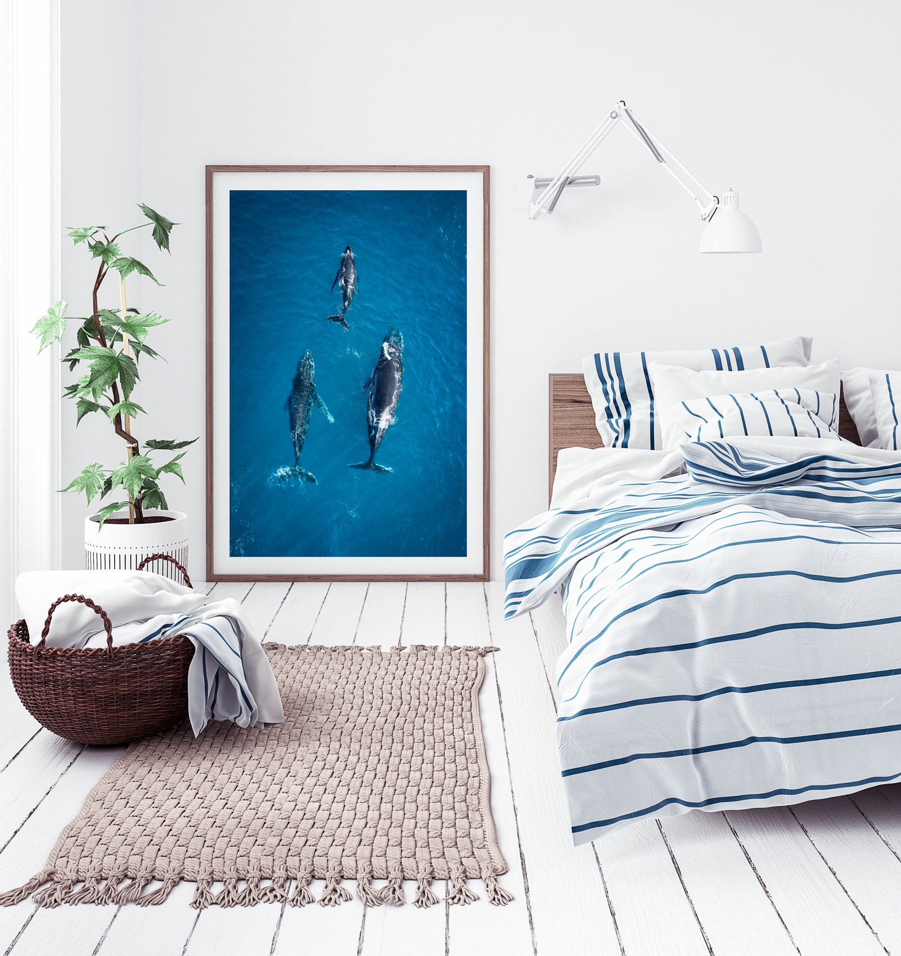 3 Whales migrating home Coolum framed fine art