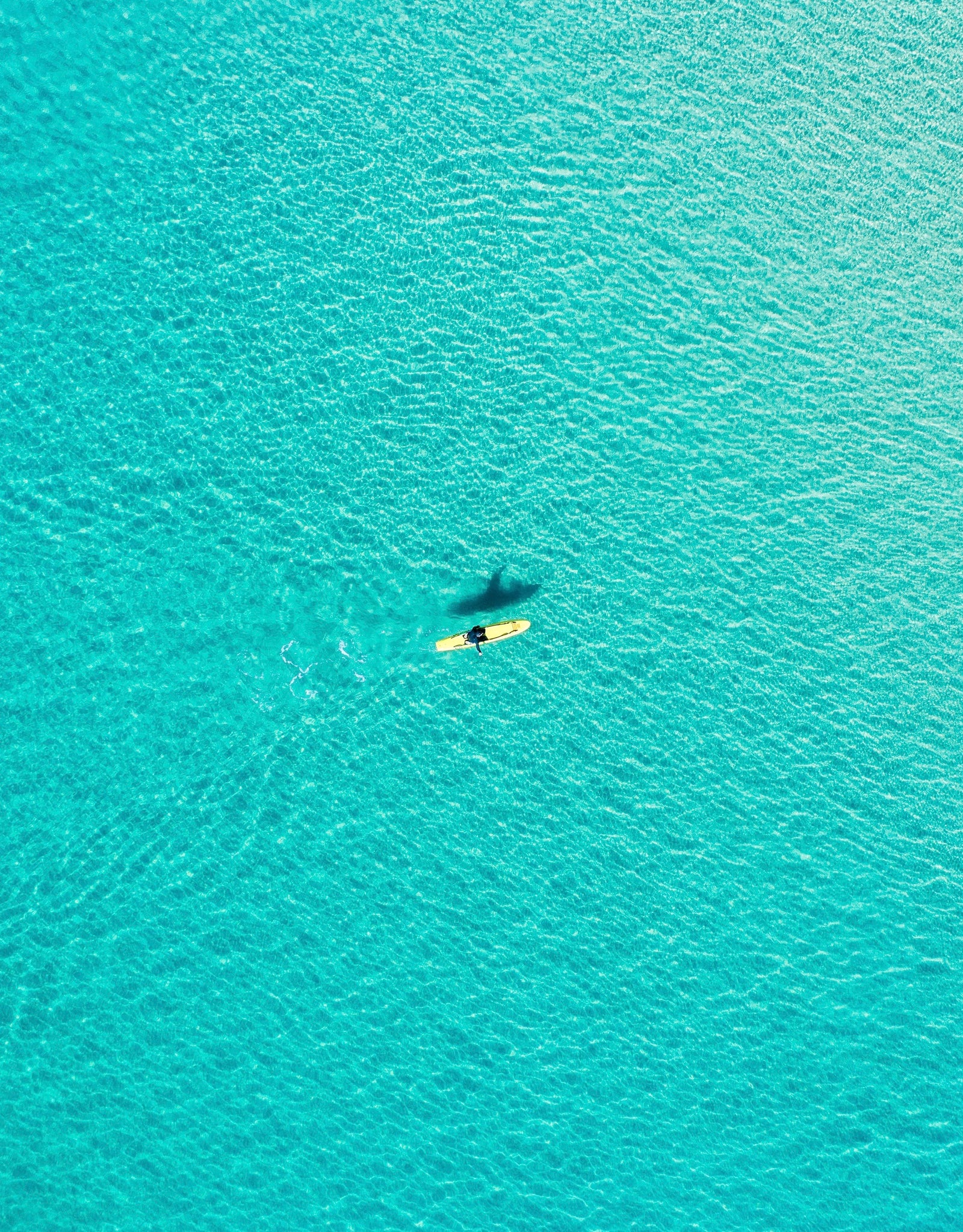 DW0020 - Coolum Beach - Dave Wilcock Photography