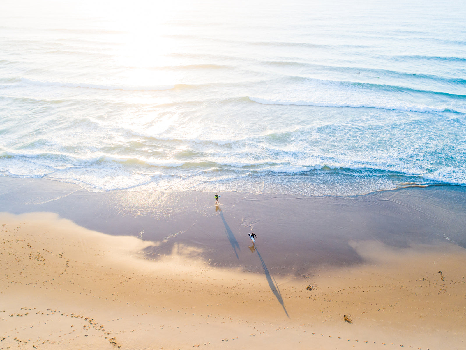 "Tag Team" Point Cartwright - Dave Wilcock Photography