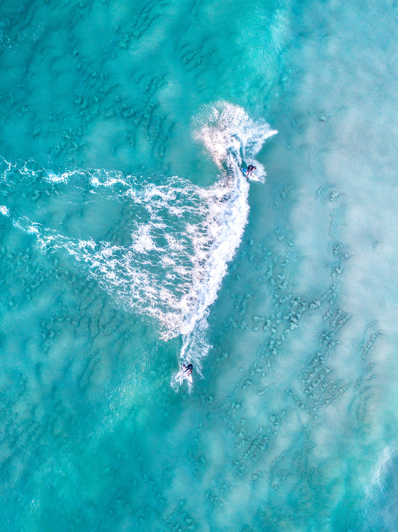 Transparent - Dave Wilcock Photography